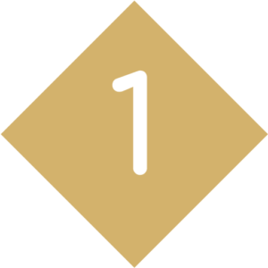 icone-1