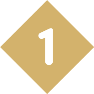 icone-1-or